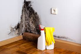 Best Mold Removal for HVAC Installations  in La Porte City, IA